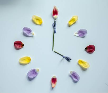 11170286_10152710072146433_5198163828833009401_o