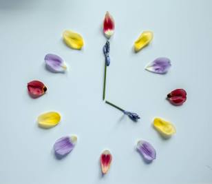 11170286_10152710072146433_5198163828833009401_o